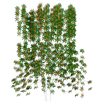 植物墙