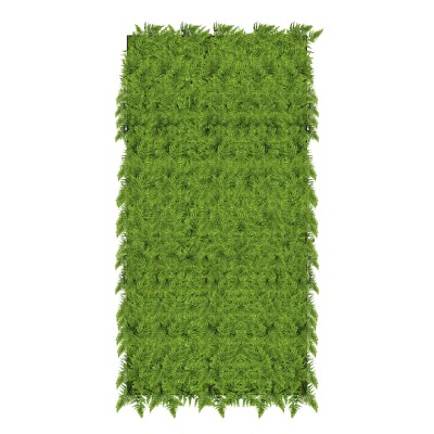 植物墙