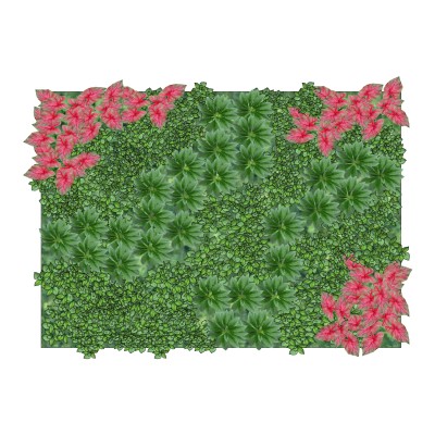 植物墙