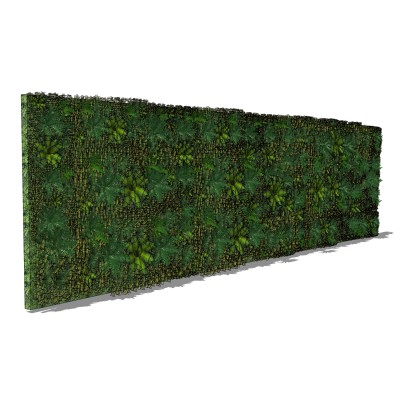 植物墙