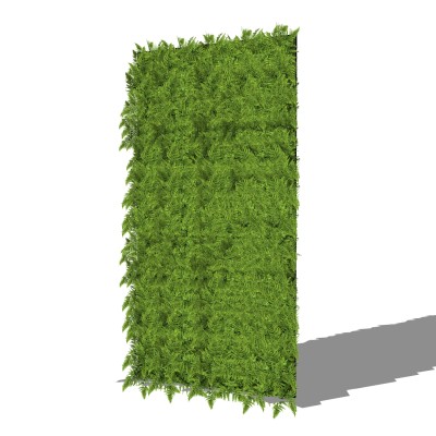 植物墙