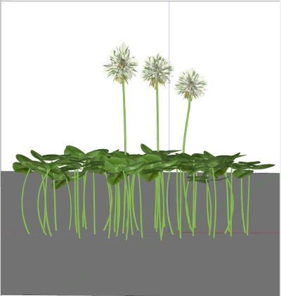 植物组合