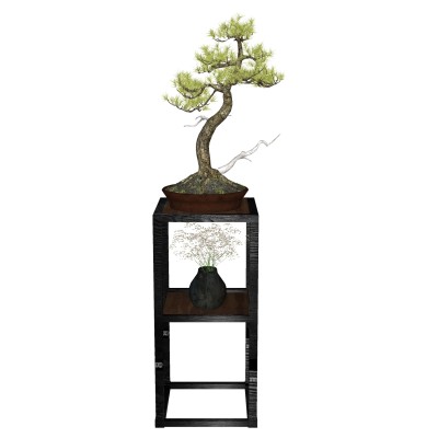 中式植物