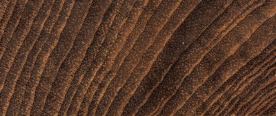 source多纹理木地板