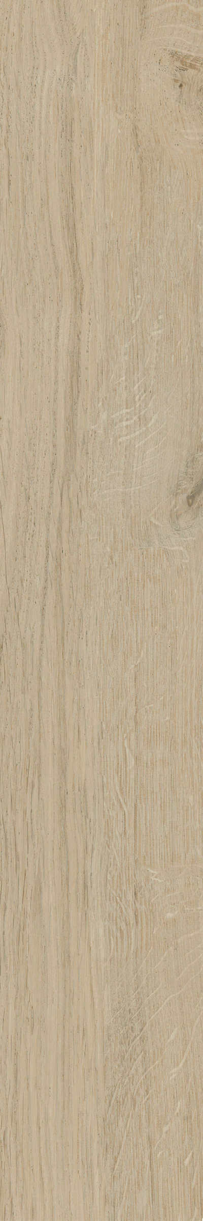 金意陶瓷砖北纬云松41