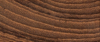 source多纹理木地板