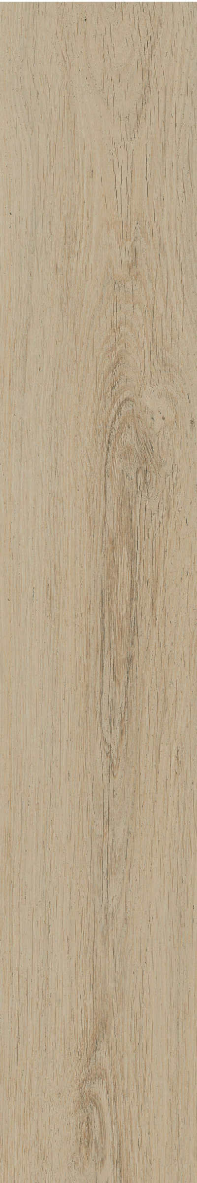 金意陶瓷砖北纬云松111