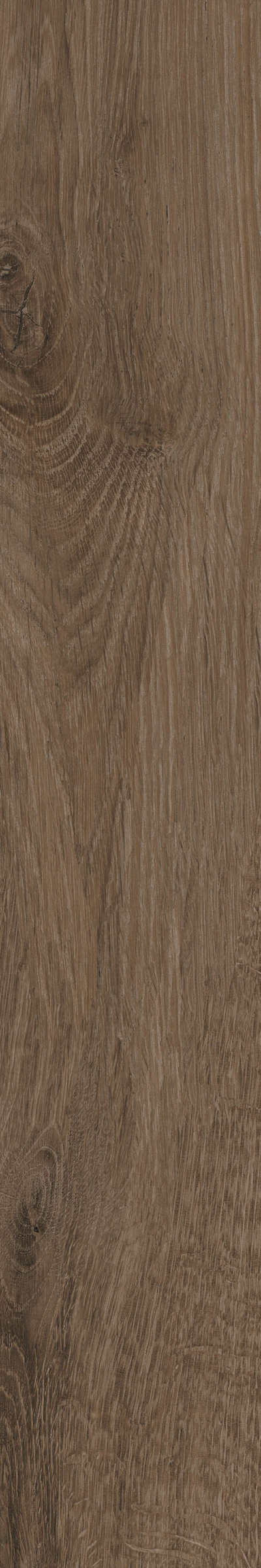 金意陶瓷砖北纬云松151