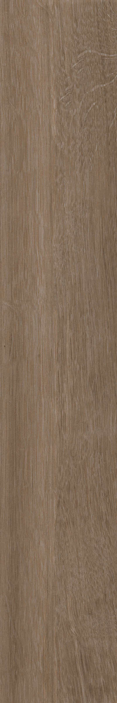 金意陶瓷砖北纬云松161