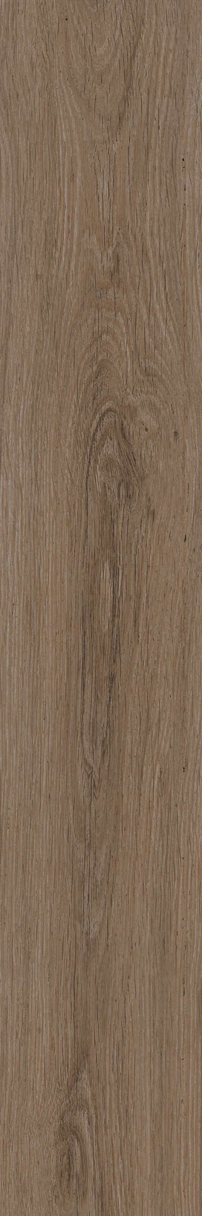 金意陶瓷砖北纬云松191