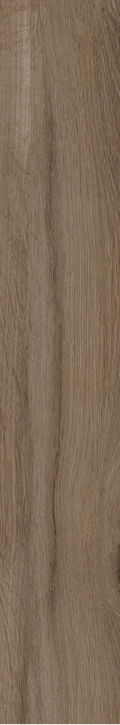 金意陶瓷砖北纬云松211