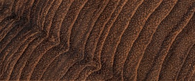 source多纹理木地板