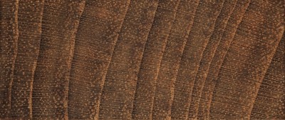 source多纹理木地板