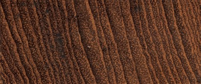 source多纹理木地板