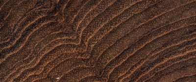 source多纹理木地板