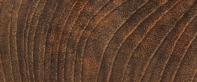 source多纹理木地板