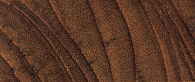 source多纹理木地板