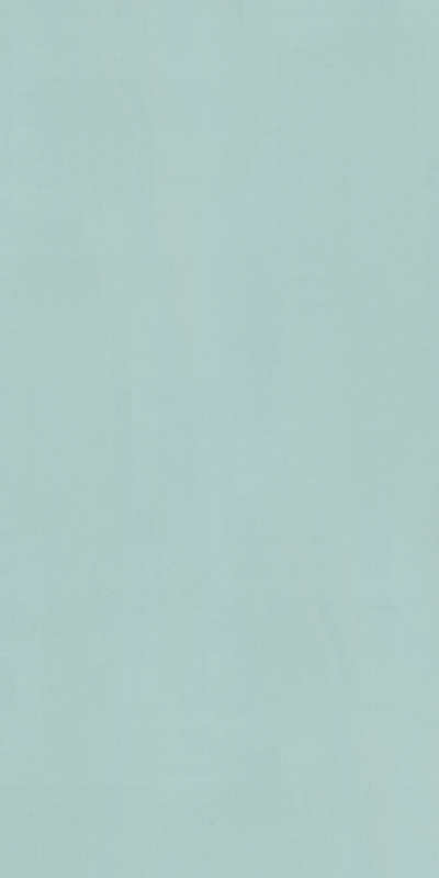 金意陶瓷砖莫兰迪12