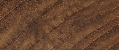 source多纹理木地板