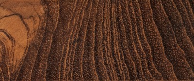 source多纹理木地板