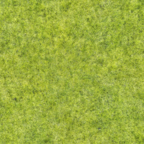 草皮贴图