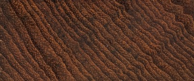 source多纹理木地板