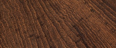 source多纹理木地板