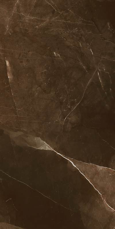 东鹏大理石大地啡