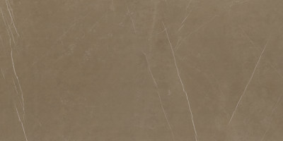 简一大理石摩卡啡网(1)