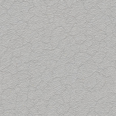 墙面凹凸肌理墙漆贴图