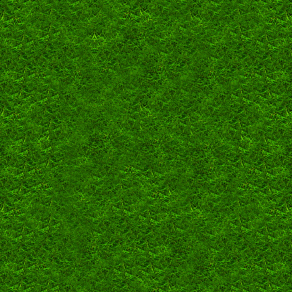 草皮贴图