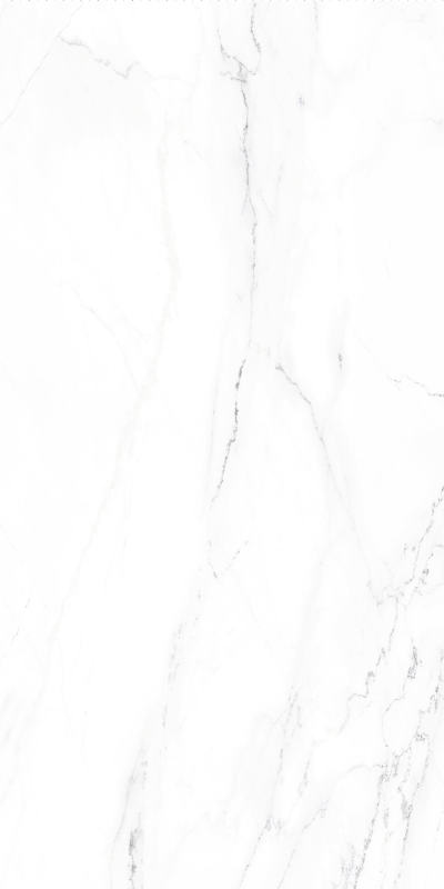 奥力斯特岩板林肯白(2)