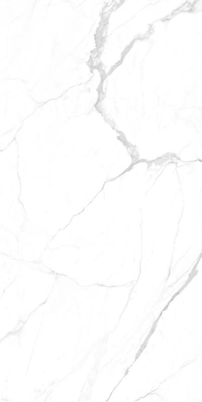 奥力斯特岩板雪花白(8)