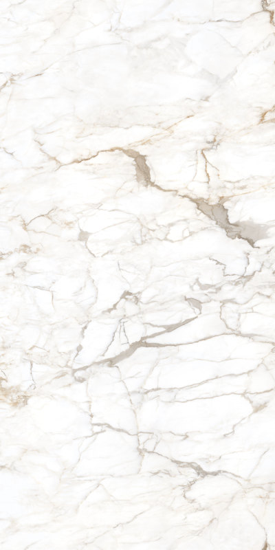 奥力斯特岩板鱼肚金