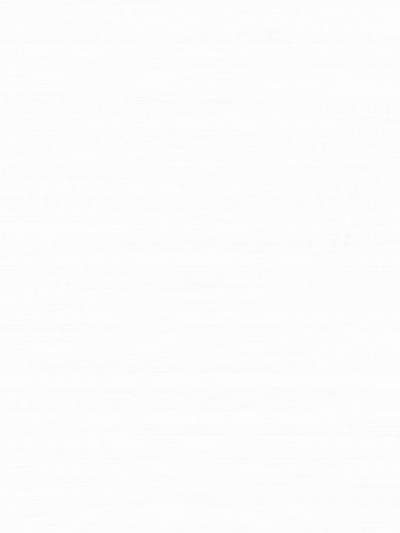 白色木纹贴图(36)