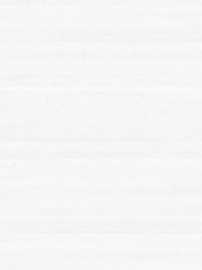 白色木纹贴图(41)