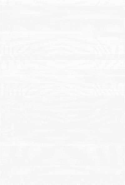 白色木纹贴图(44)