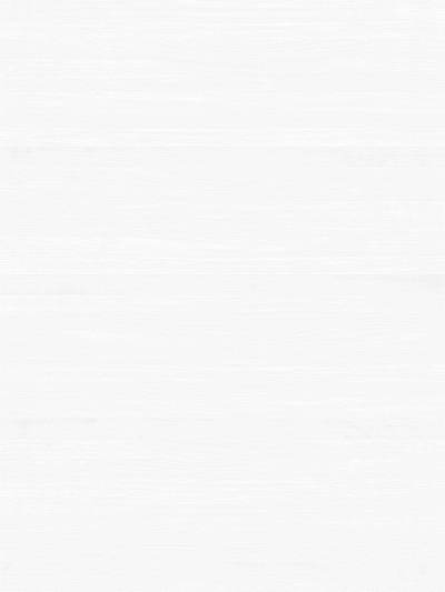 白色木纹贴图(45)