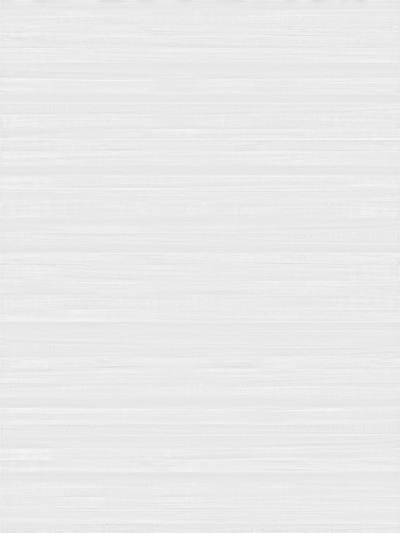 白色木纹贴图(64)