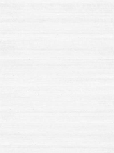 白色木纹贴图(66)