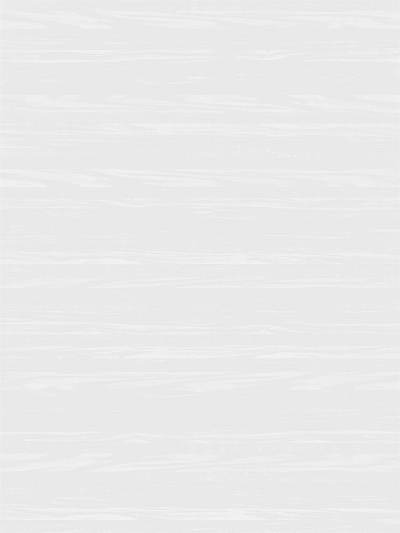 白色木纹贴图(68)