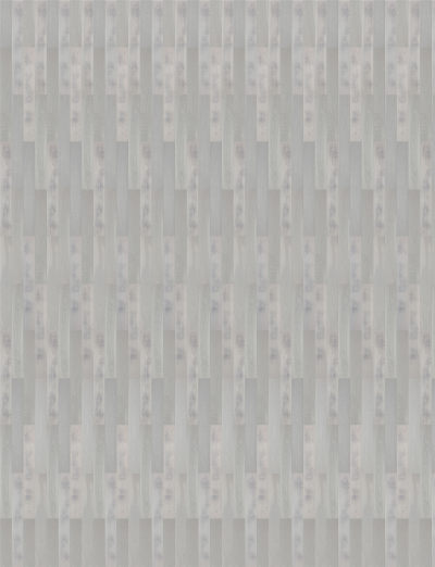 长颈鹿常规木地板橡木(12)