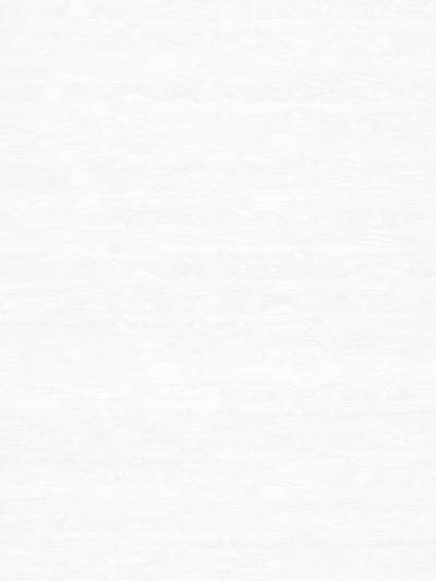 超高清木纹材质贴图(205)