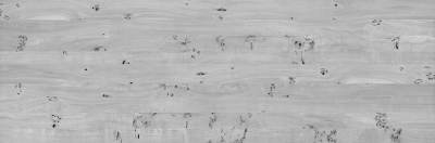 超高清木纹材质贴图(256)