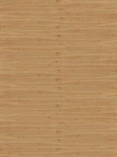 超高清木纹材质贴图(345)