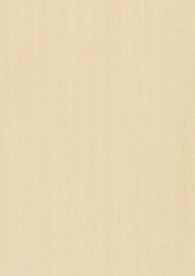 高清木纹贴图(26)