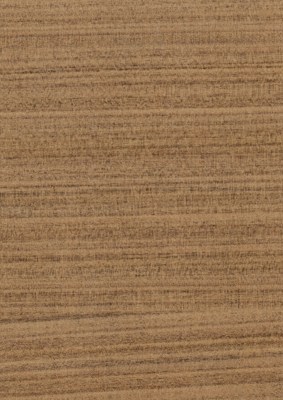 高清木纹贴图(28)