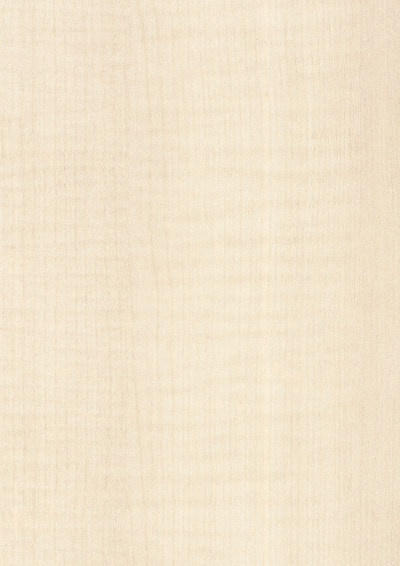 高清木纹贴图(35)