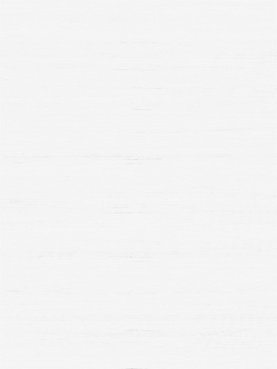 灰色木饰面(105)