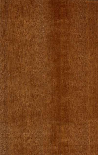 咖色木饰面(186)